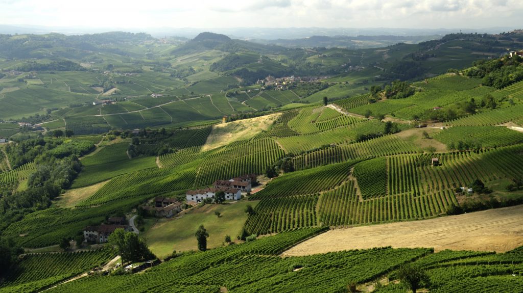 Le vignoble du Piémont